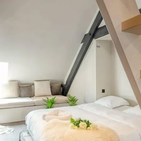 Charming Attic Retreat In Historic Center Apartman *